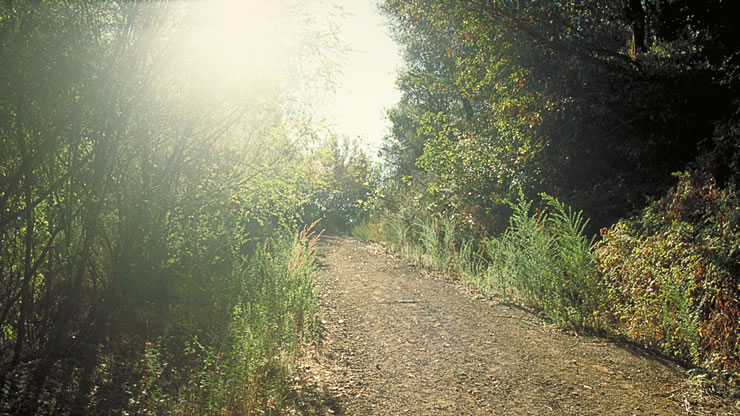 Wallpaper Path 05