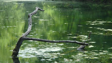 Wallpaper Water 01