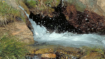 Wallpaper Water 03