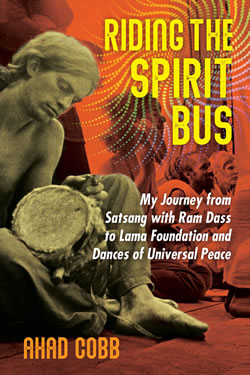 Riding the Spirit Bus book cover
